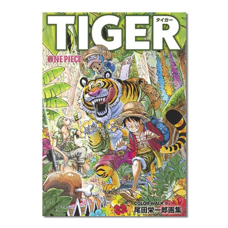 Stationery Books - Livro de Ilustrações One Piece Color