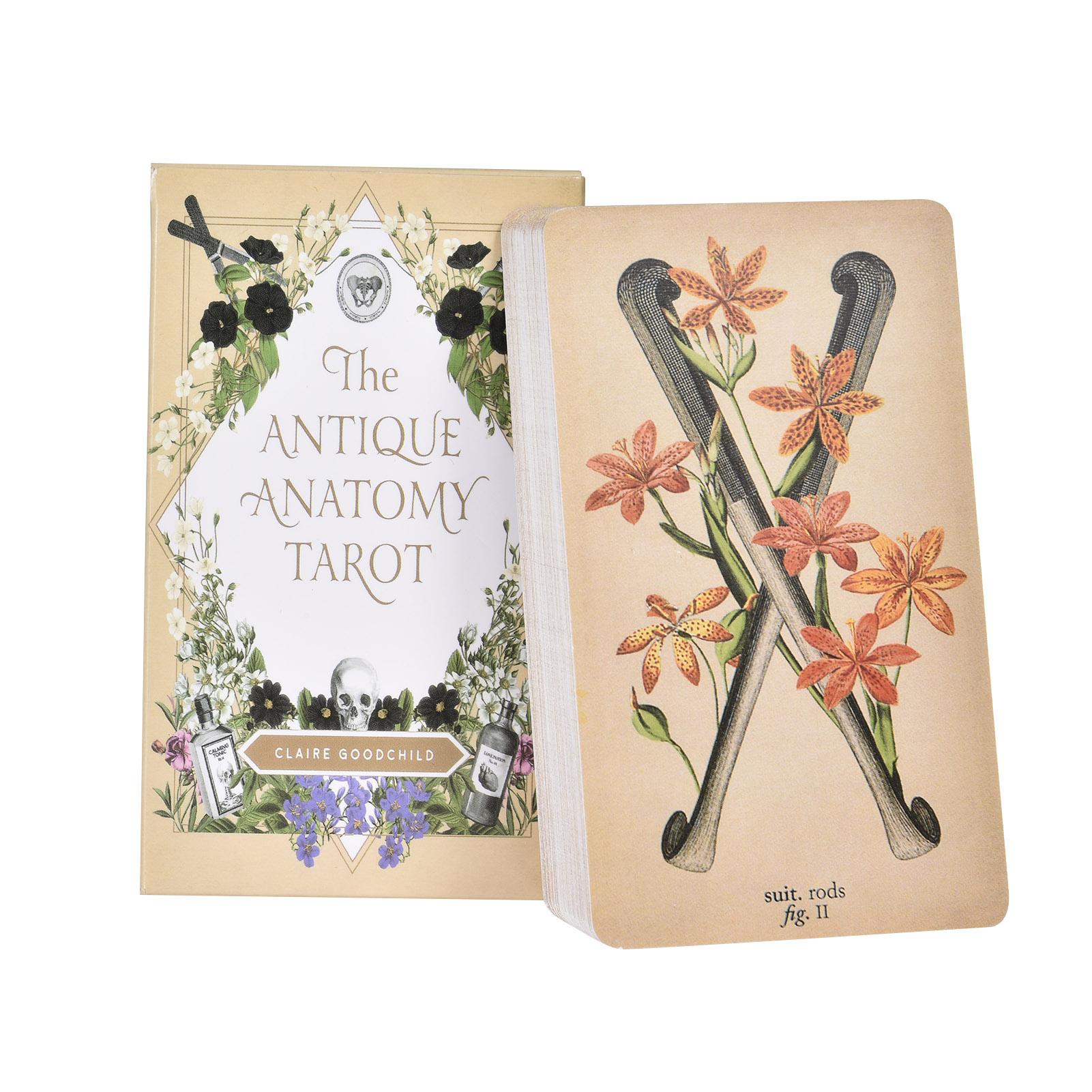 Tarot Deck With Guidebook - As Cartas de Tarot de Anatomia