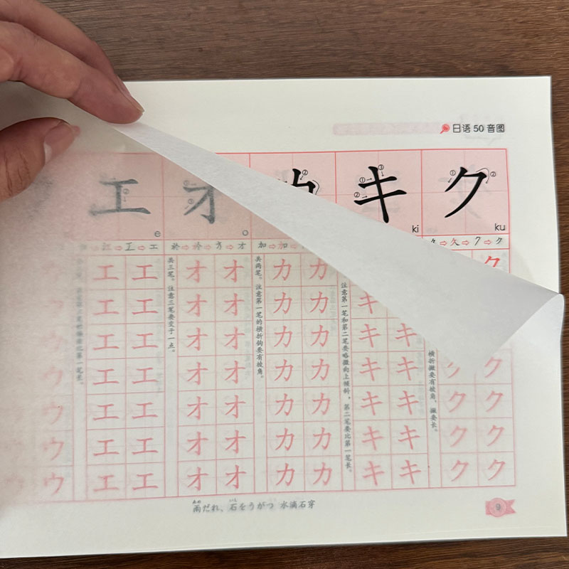 Chinese Calligraphy Practice Book - Caderno de Caligrafia Japonesa Hiragana Katakana