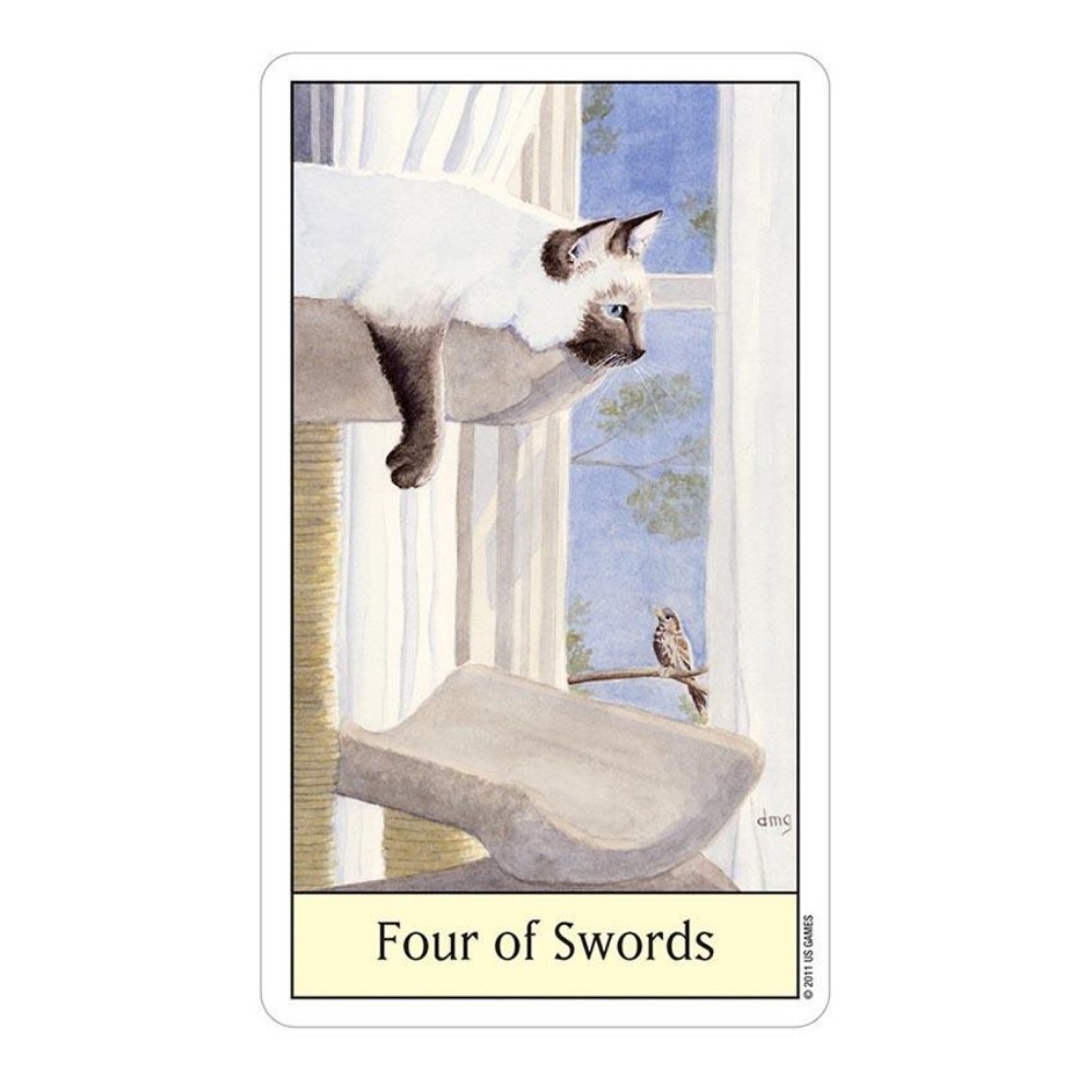 Jogos de cartas de tarô olho d - Tarot Deck With Guidebook avaliação e preço