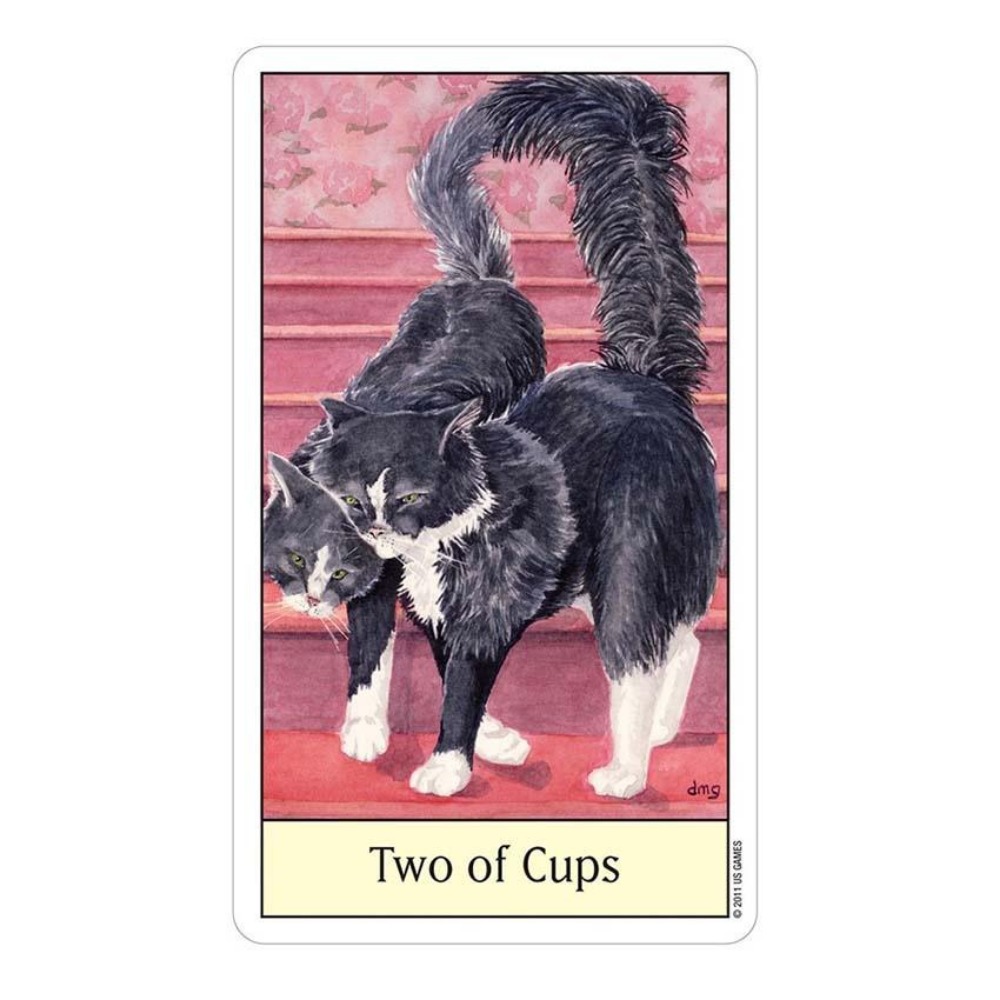 Jogos de cartas de tarô olho d - Tarot Deck With Guidebook avaliação e preço